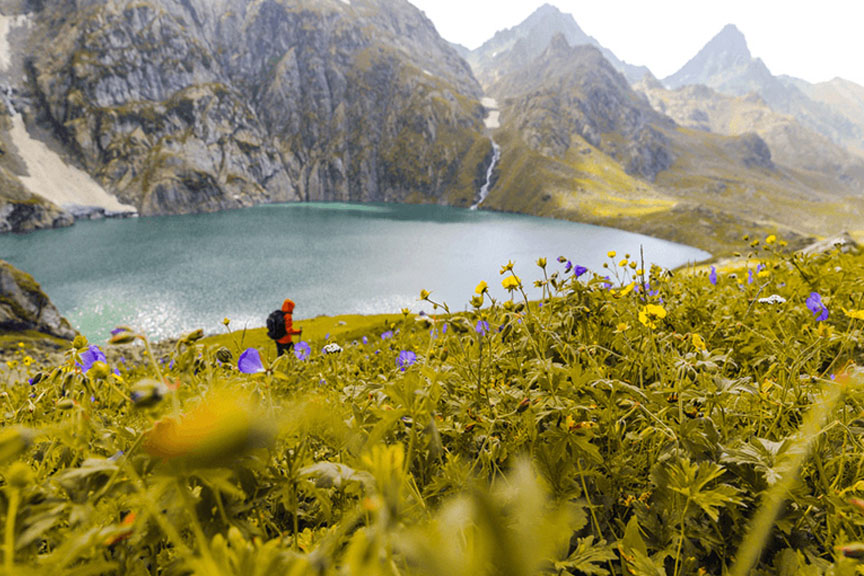valley-of-flowers